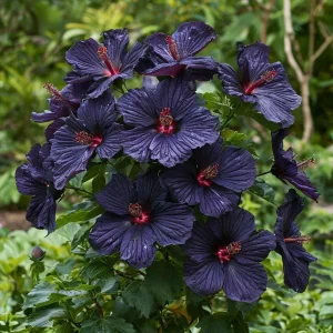 Гибискус Мэджик Момент купить по цене от 699р. в интернет-магазине «Посадика» с доставкой почтой в в Верхняя Салдае и по всей России – [изображение №1].