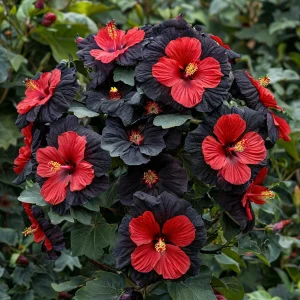 Гибискус Шиммеринг купить по цене от 720р. в интернет-магазине «Посадика» с доставкой почтой в в Верхняя Салдае и по всей России – [изображение №1].